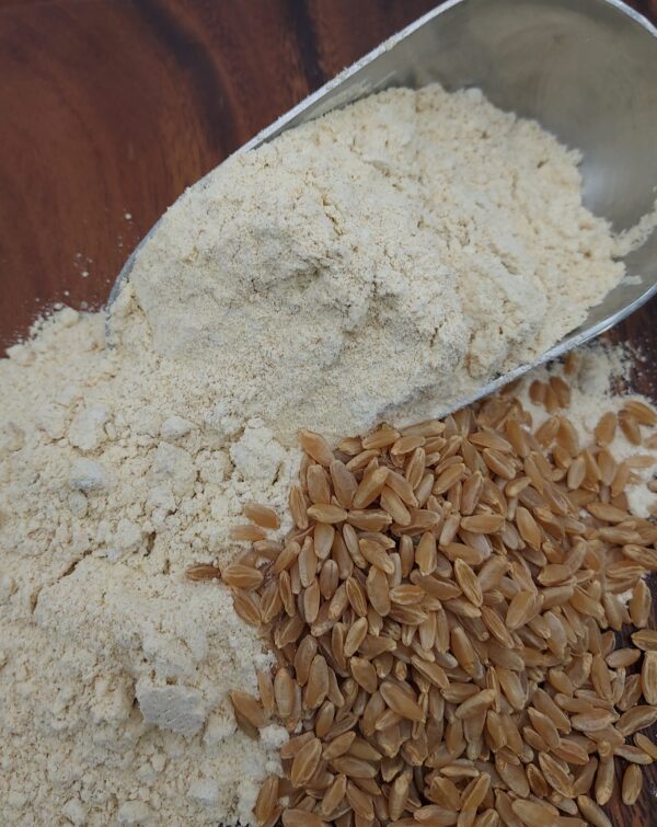 Iraqi Durum (Semolina) Wheat Flour - Image 2