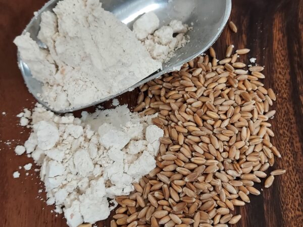 Triticale Flour - Image 3